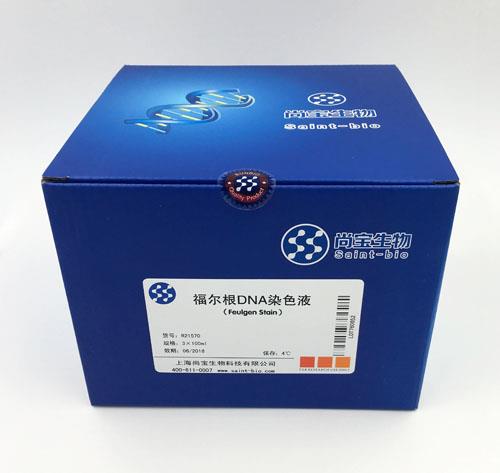 福爾根DNA染色液（Feulgen Stain）