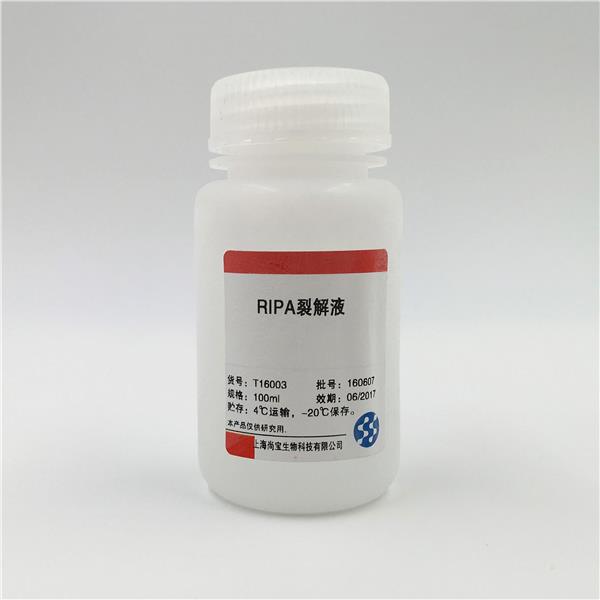RIPA裂解液（強(qiáng)）
