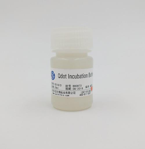 Qdot Incubation Buffer