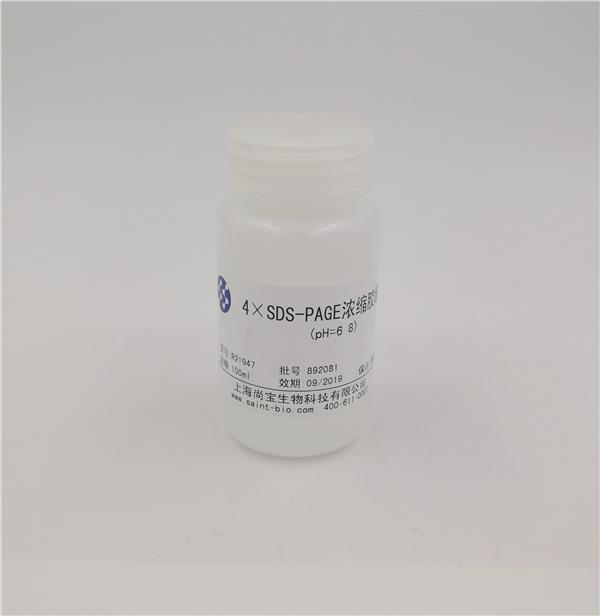 4×SDS-PAGE濃縮膠緩沖液（pH=6.8）