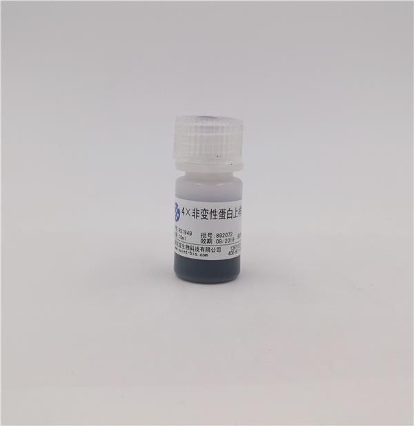 4×非變性蛋白上樣緩沖液