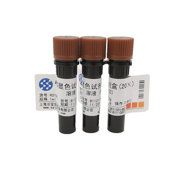 AEC顯色試劑盒（20×）