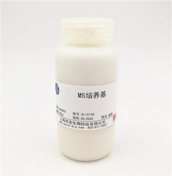MS培養(yǎng)基