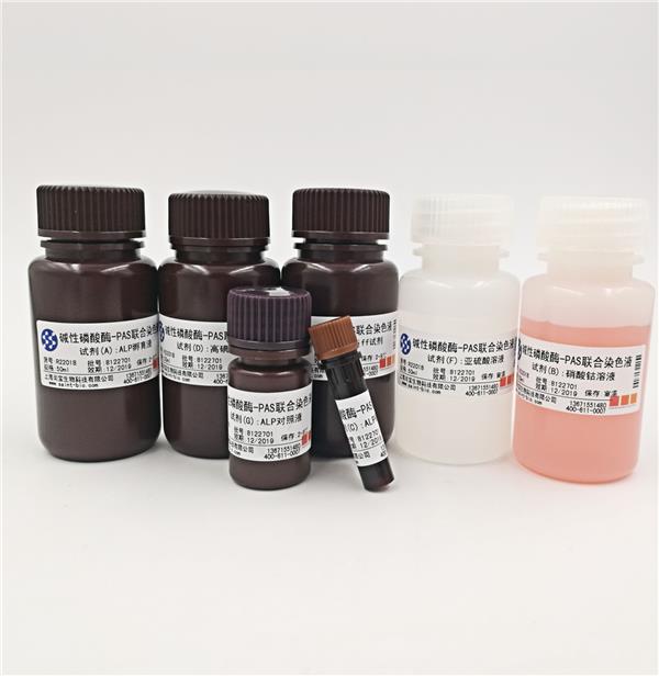 堿性磷酸酶-PAS聯(lián)合染色液