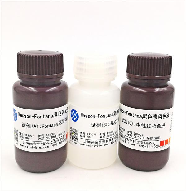 Masson-Fontana黑色素染色液