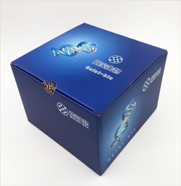 肌纖維染色液（Puchtler鞣酸偶氮熒光桃紅法）